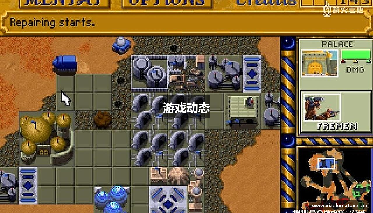 游戏动态